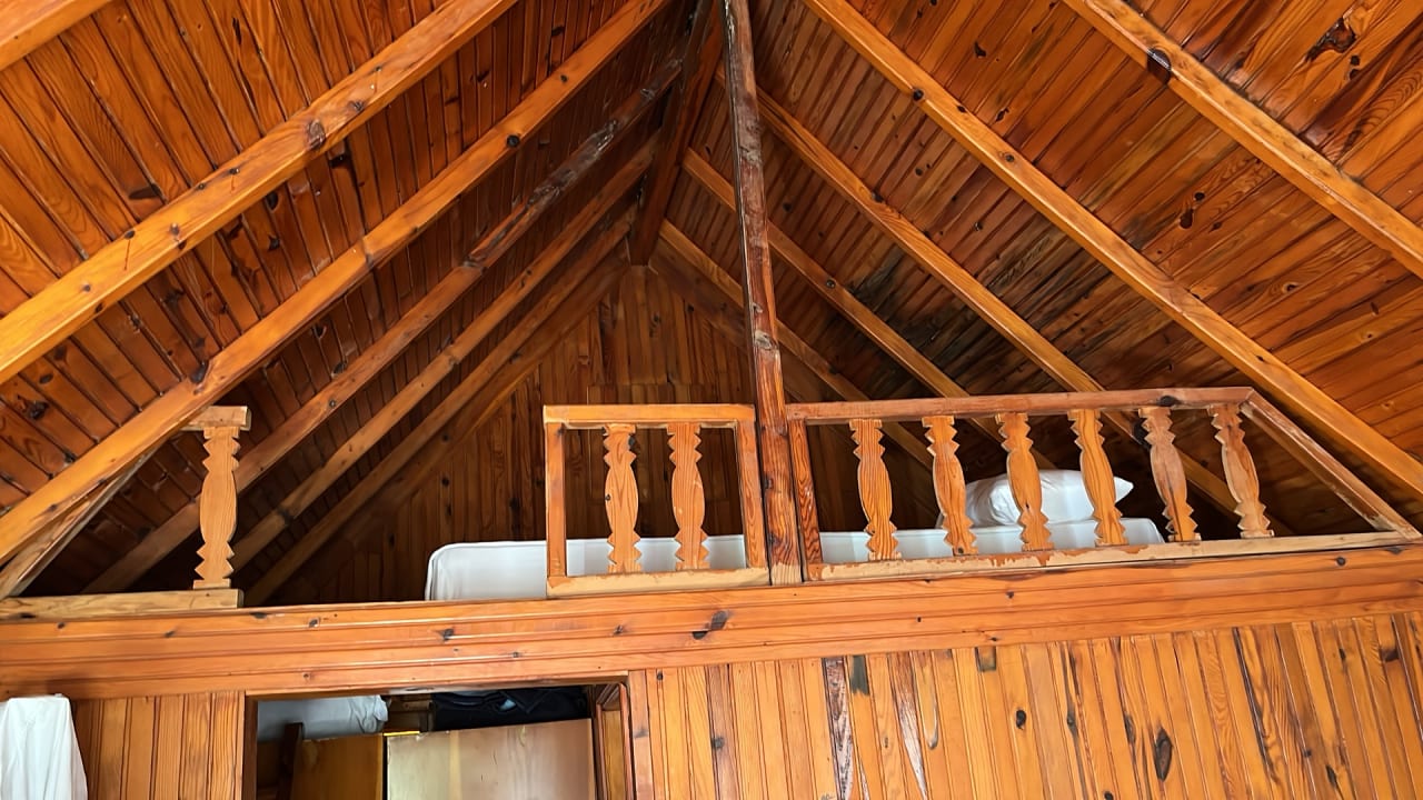 Zimmer Clover Magic Nova Beach