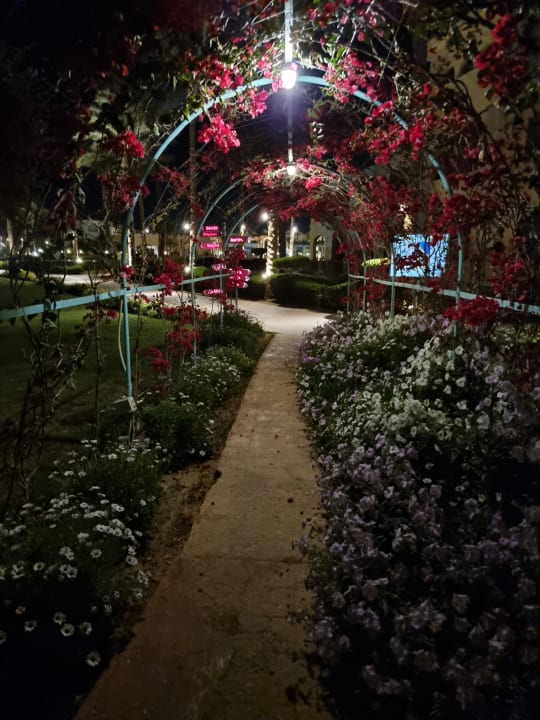 Gartenanlage Cleopatra Luxury Resort Makadi Bay