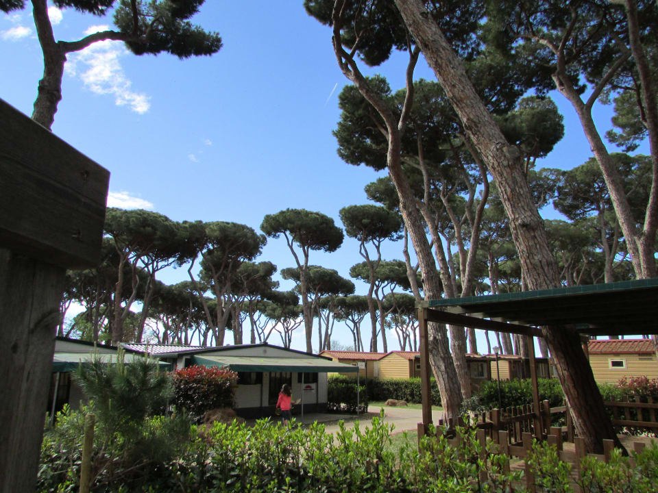 Camping Albatros Park Albatros Village