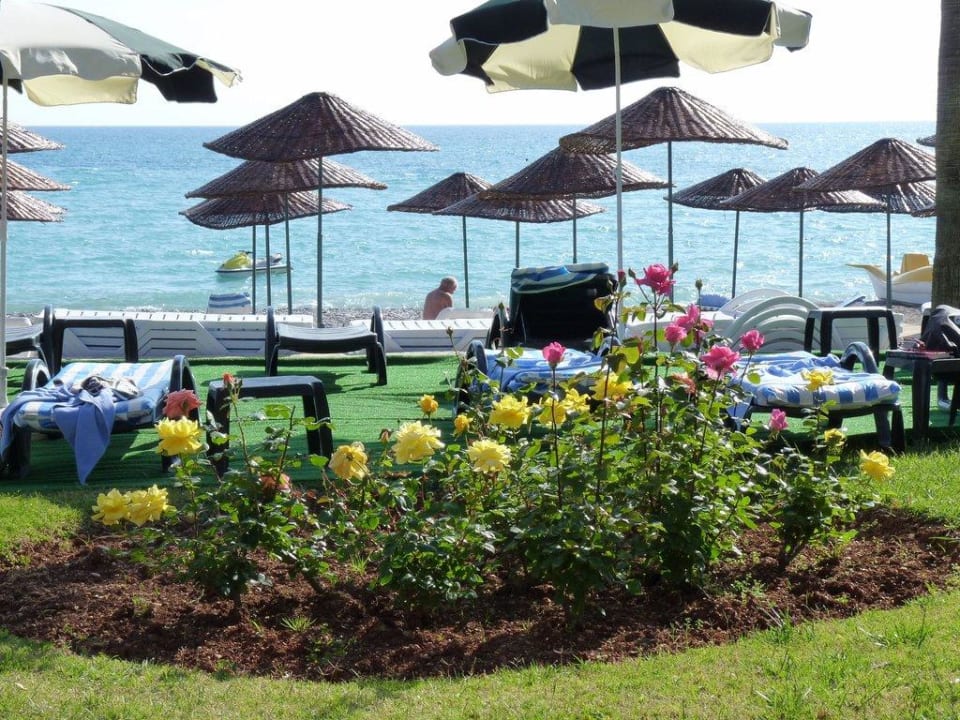 Vom Garten zum Strand Hotel Meryan