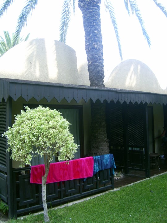 Palme durch den Bungalow Hotel Paradis Palace