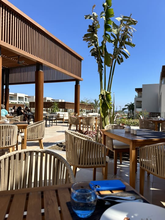 Gastro JAZ Elite Amara