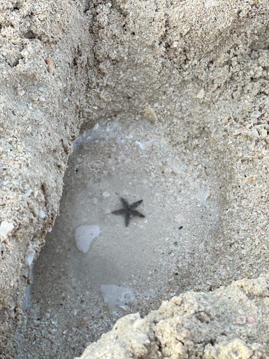 Strand Rixos Bab Al Bahr