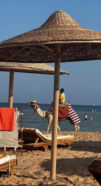 Strand Imperial Shams Abu Soma