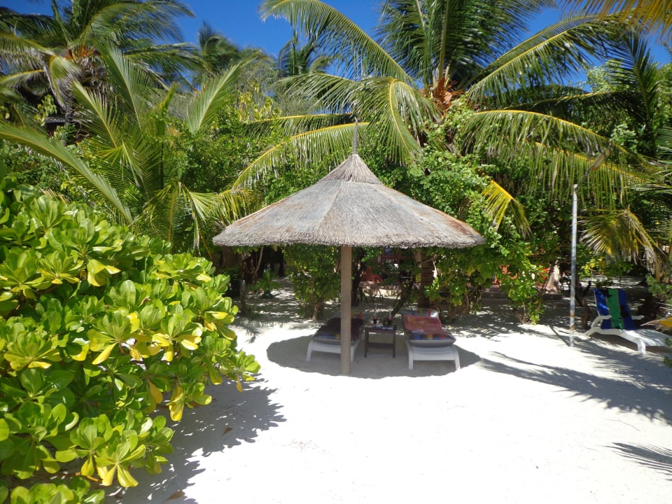 Sonnenschirm mit Liegen Summer Island Maldives
