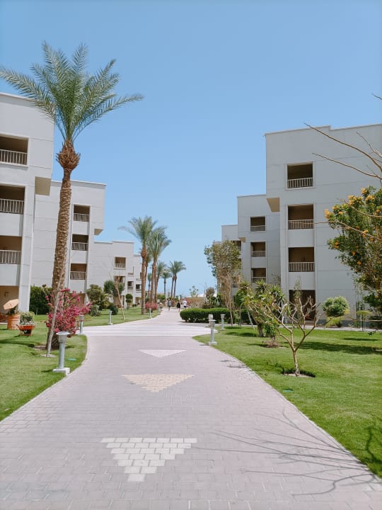 Gartenanlage Jaz Soma Beach