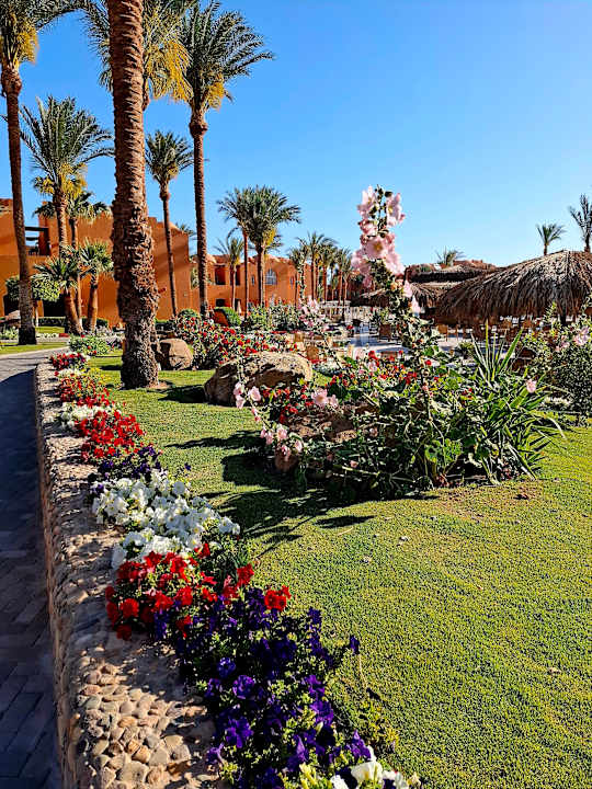 Gartenanlage Jaz Makadi Oasis Resort