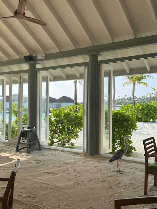 Gastro Sun Siyam Olhuveli