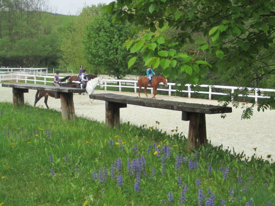 Reitanlage -außen- Aldiana Club Ampflwang