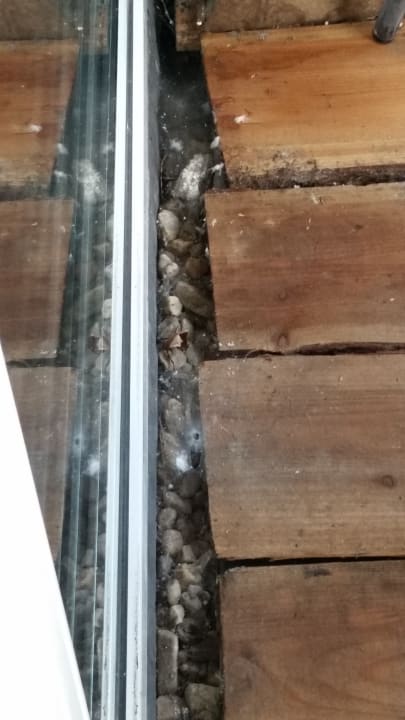 Zimmer Cityhotel-Restaurant Stadskanaal