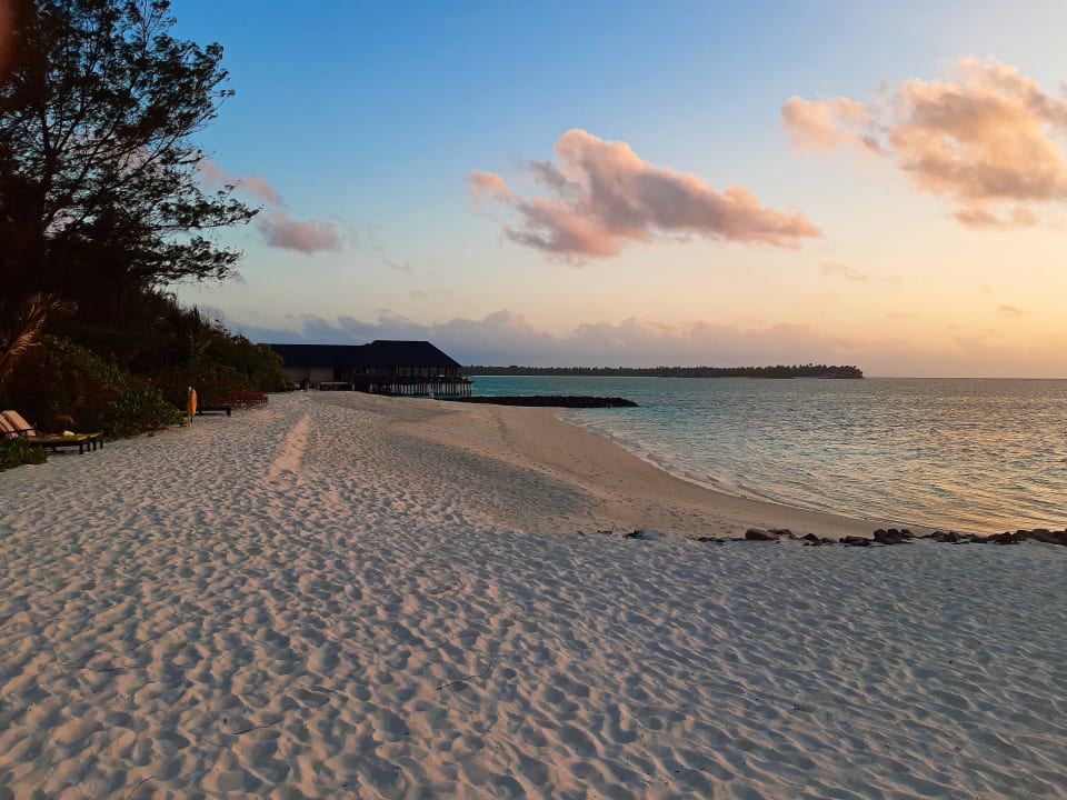 Strand Summer Island Maldives