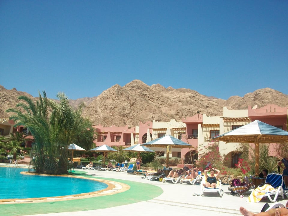 Zwembad Tropitel Dahab Oasis