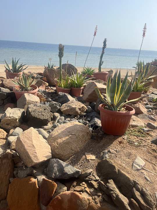 Gartenanlage Three Corners Equinox Beach Resort