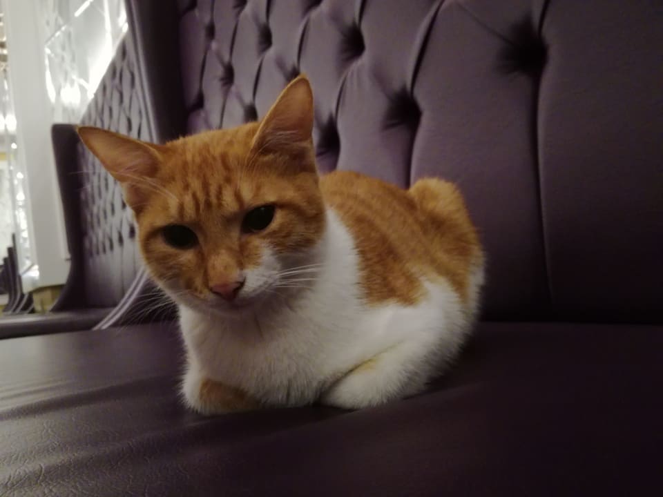 Sonstiges Dream World Aqua Hotel