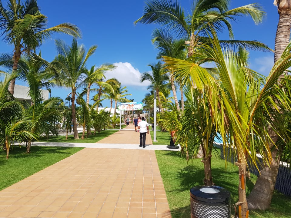 Außenansicht Hotel Riu Republica - Adults only