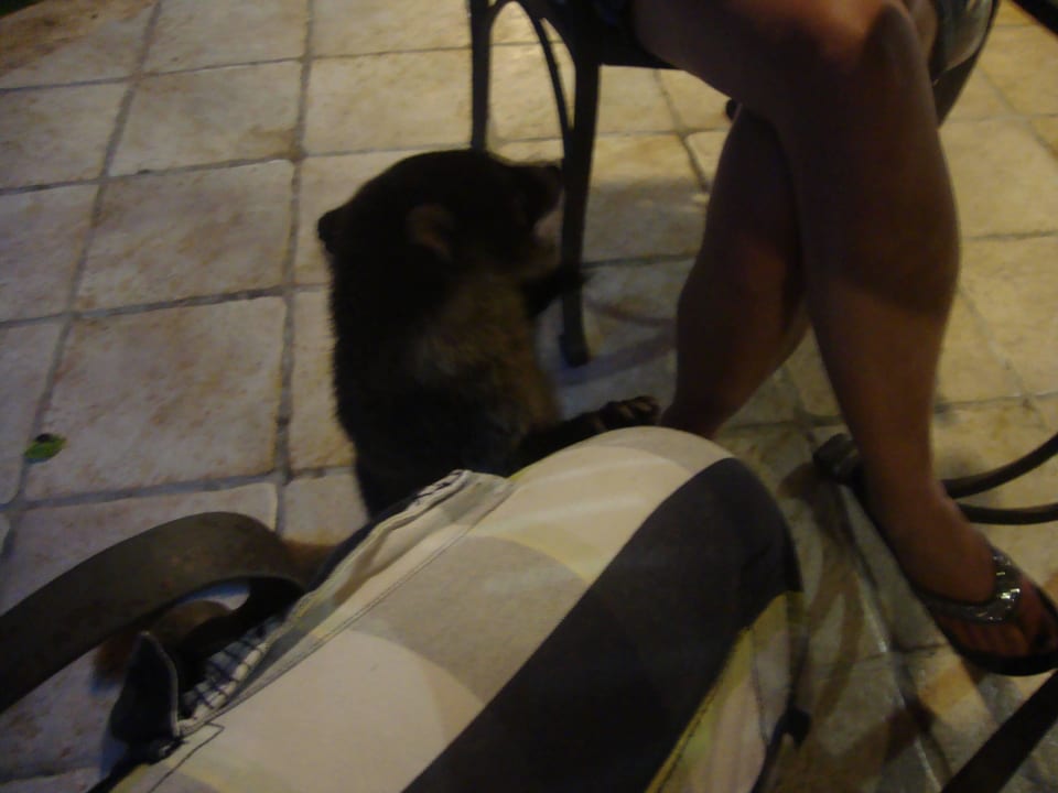 Hotel Catalonia Playa Maroma Catalonia Playa Maroma