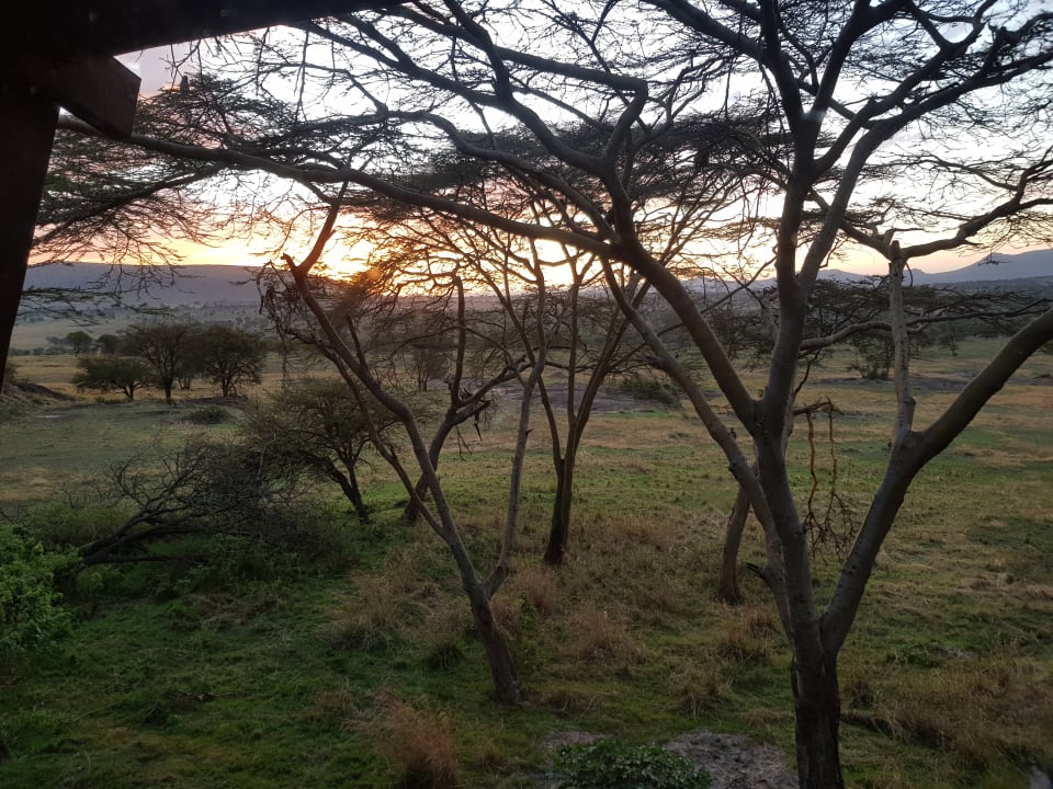 Ausblick Hotel Lobo Wildlife