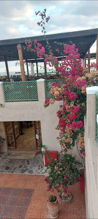 Gastro Silva Beach Hotel