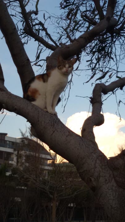 Bester Aussichtspunkt Sentido Trendy Verbena Beach