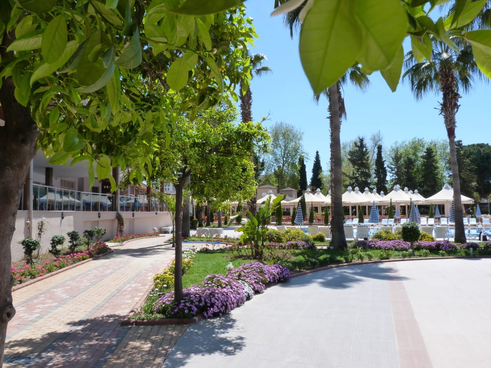 Ansicht auf Terrasse von Block B und C Lonicera Resort & Spa Hotel