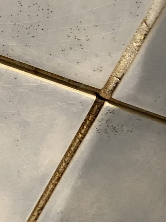 Zimmer Hotel Blaubeurer Tor