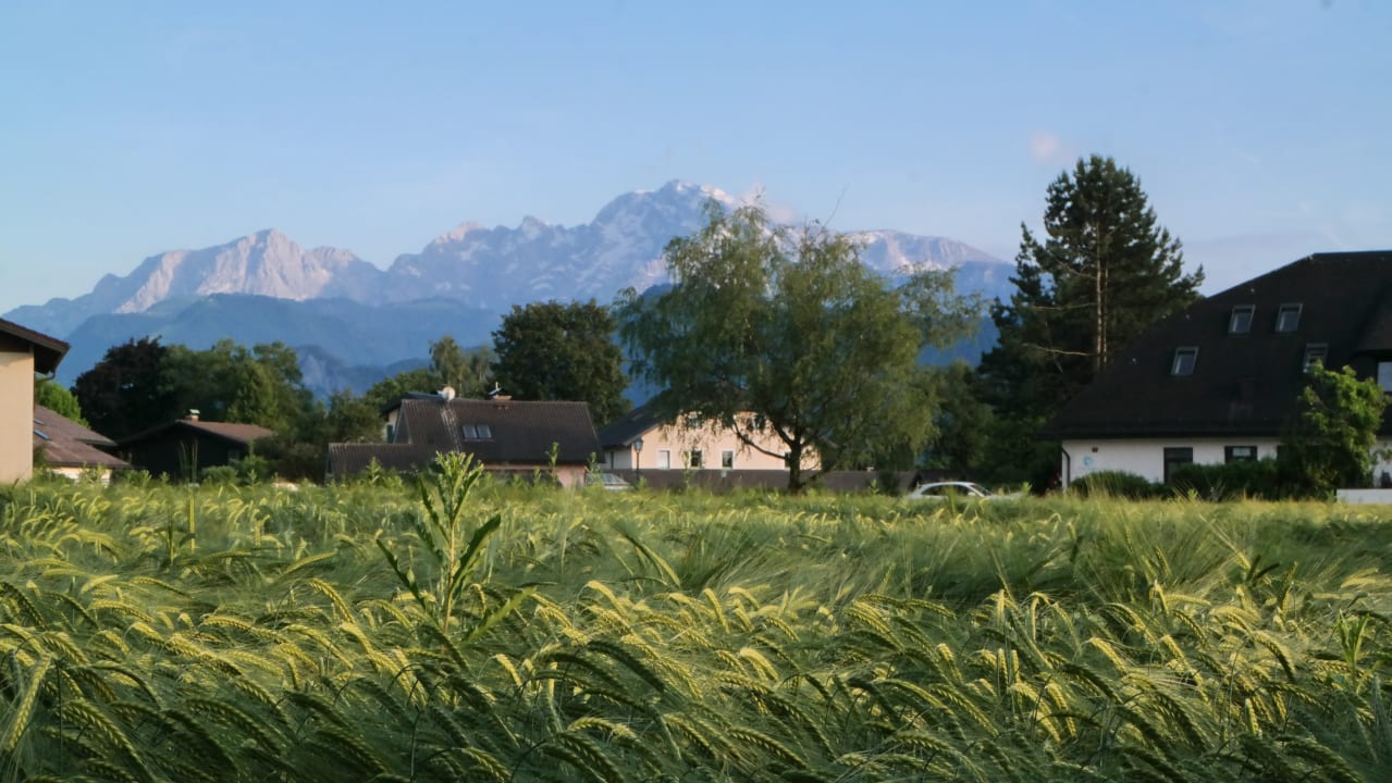 Ausblick Friesachers Aniferhof