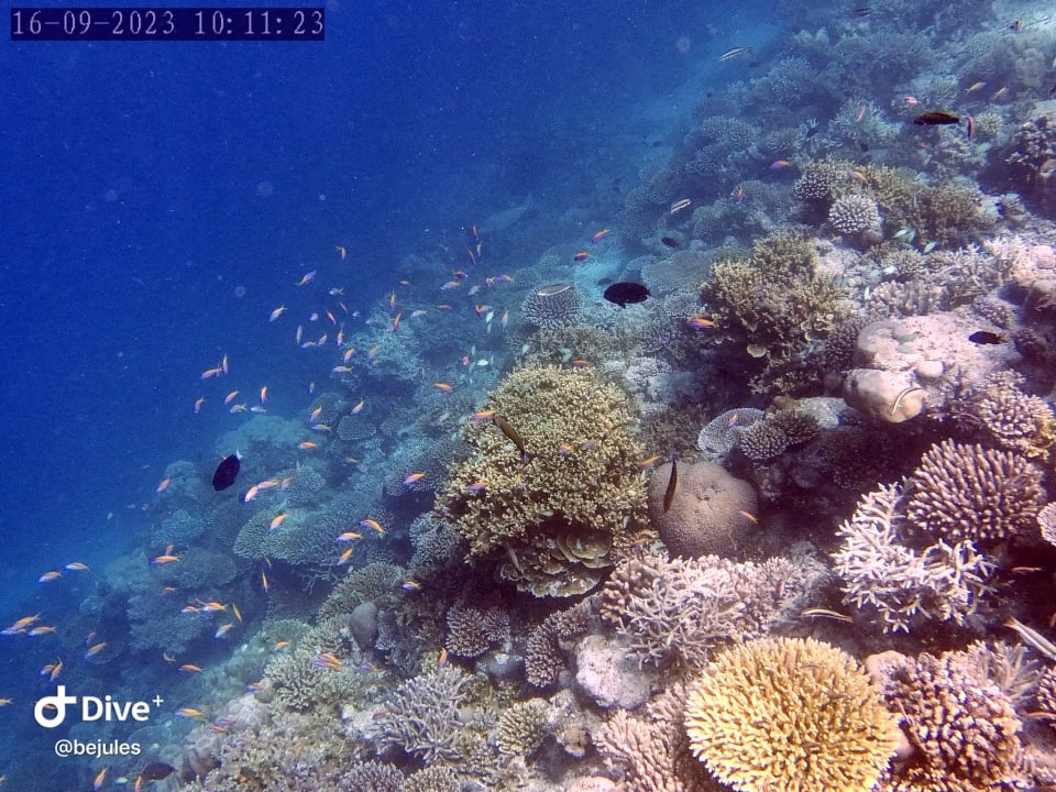 Sport & Freizeit Pullman Maldives Maamutaa - All-Inclusive Resort - 50% off Domestic Transfers