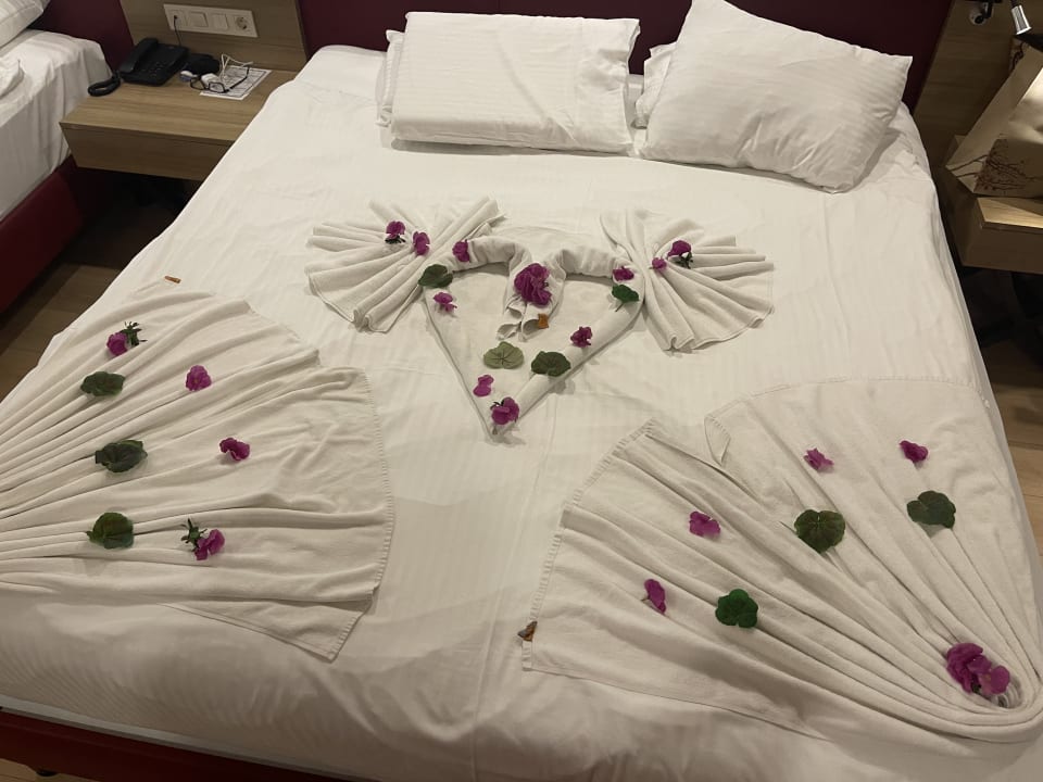 Zimmer Hotel Delphin Imperial