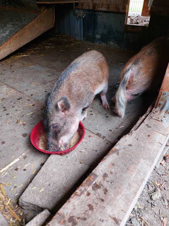 Gartenanlage Ferienhof Keks und Krümel