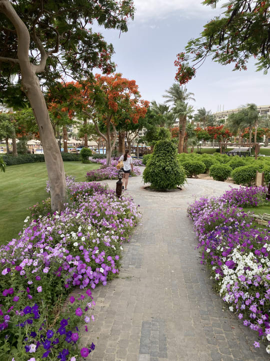 Gartenanlage Steigenberger ALDAU Beach Hotel