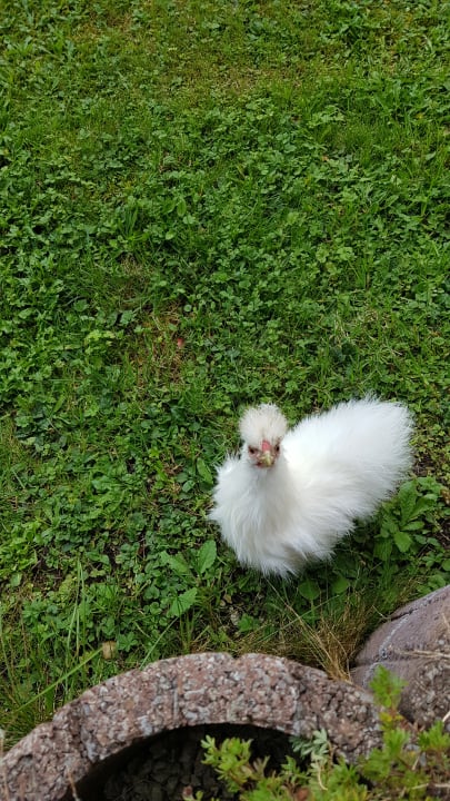 Gartenanlage Naturhotel Reissenlehen
