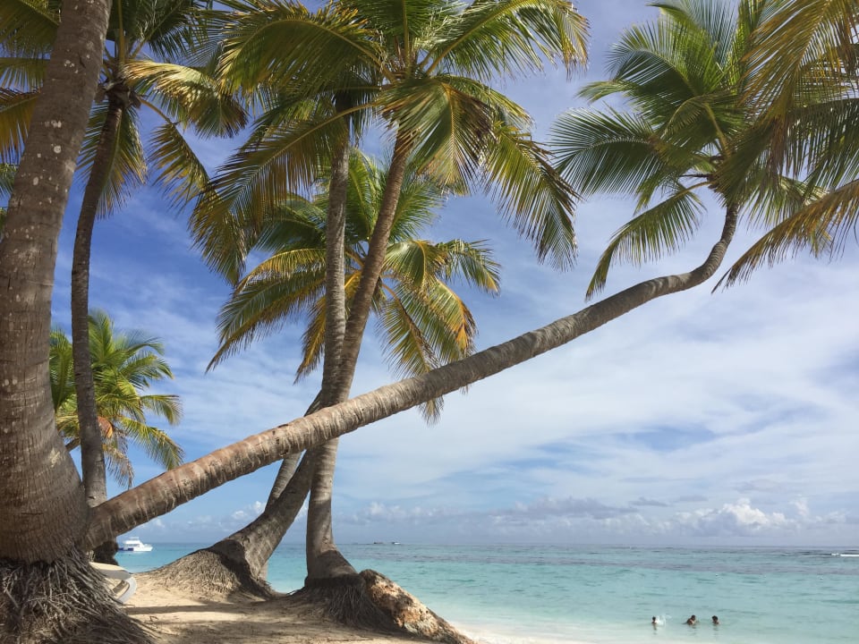 Am Strand Hotel Riu Palace Bavaro