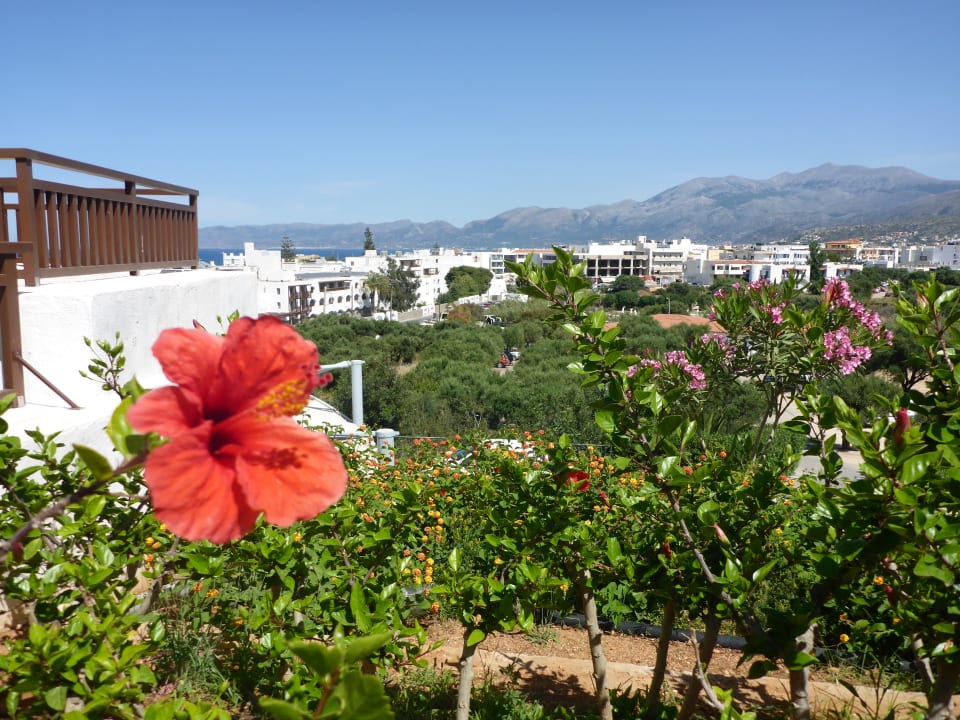 Gartenanlage Creta Maris Resort
