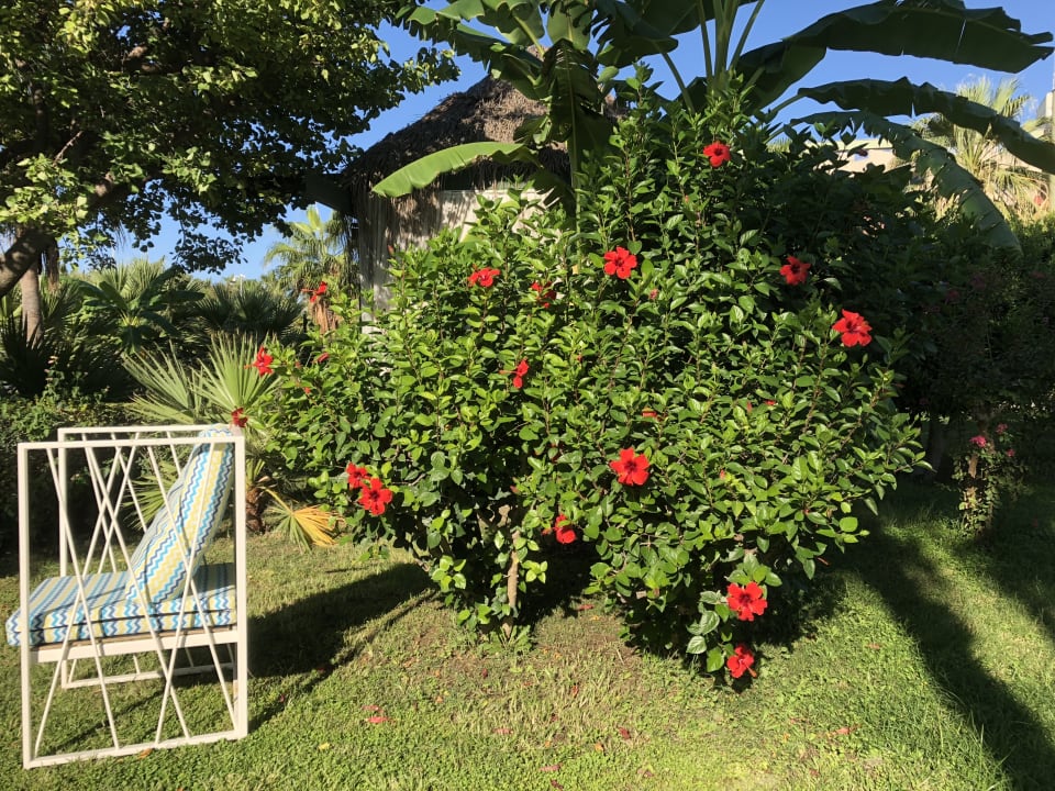 Gartenanlage Bella Resort & Spa