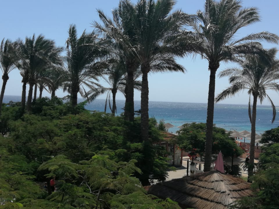 Ausblick Grand Waterworld Makadi & Family Star Makadi