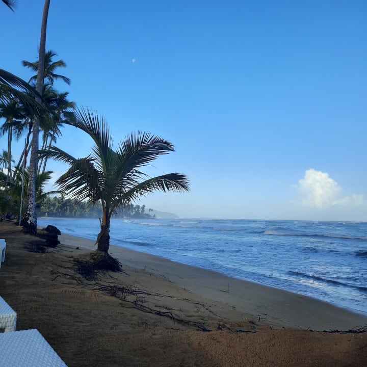 Strand Viva V Samana by Wyndham – Adults Only