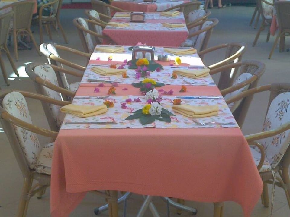 So kann der Tisch aussehen wenn man abreisen muss Hotel Orfeus Park