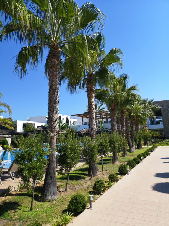 Gartenanlage TUI BLUE Palazzo del Mare