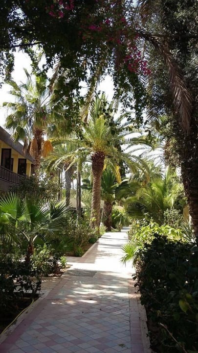 Der Weg zum Zimmer Hotel Paradis Palace