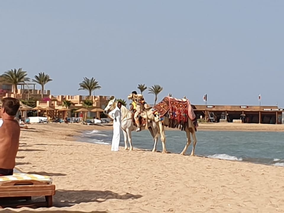 Strand Imperial Shams Abu Soma