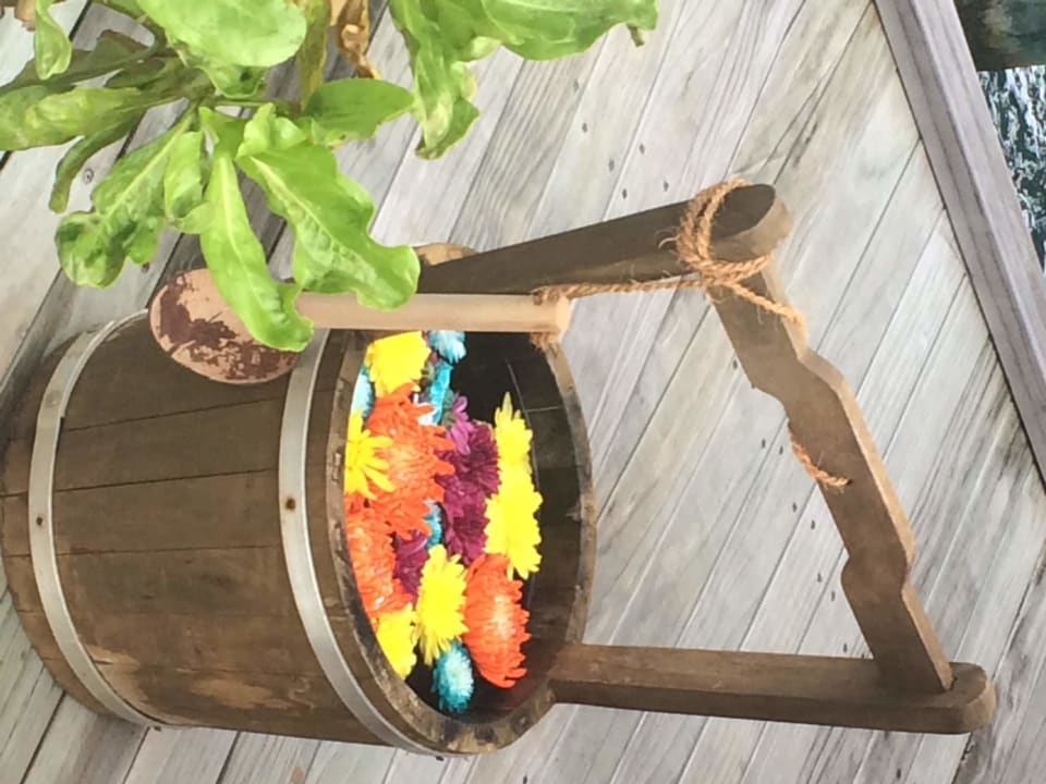 Zimmer Mirihi Island Resort