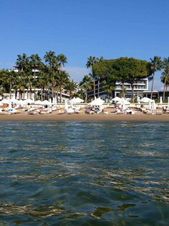 Strand Acanthus Cennet Barut Collection