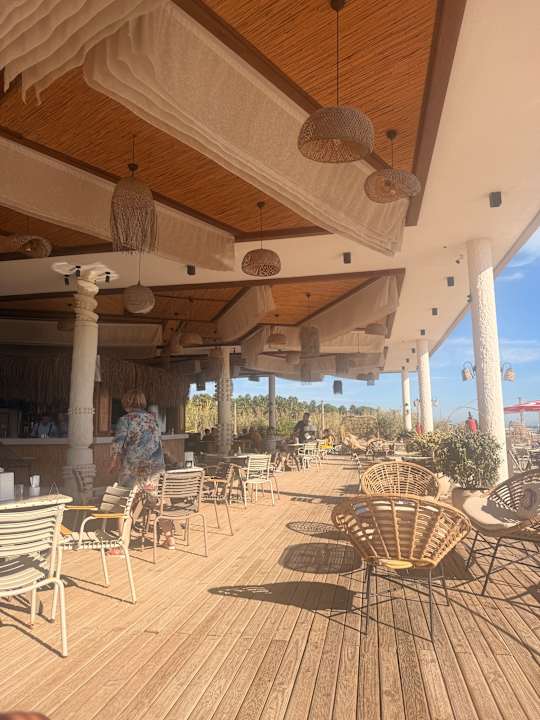 Strand Seashell Vega