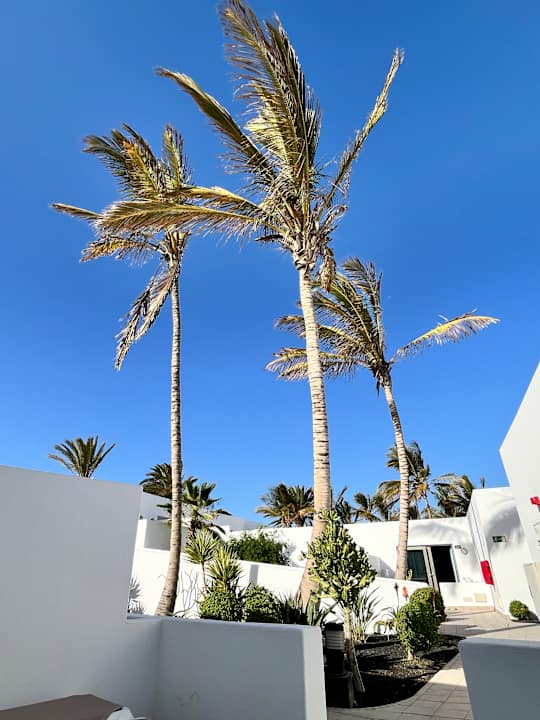 Gartenanlage Hotel Las Costas