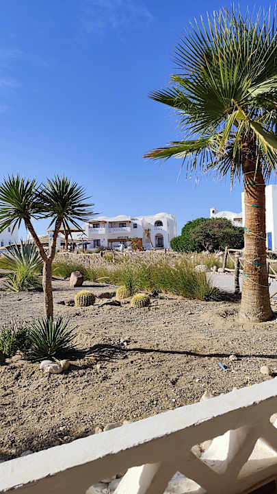 Gartenanlage Beach Safari Nubian Resort