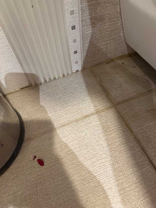 Zimmer Kamelya Aishen Club