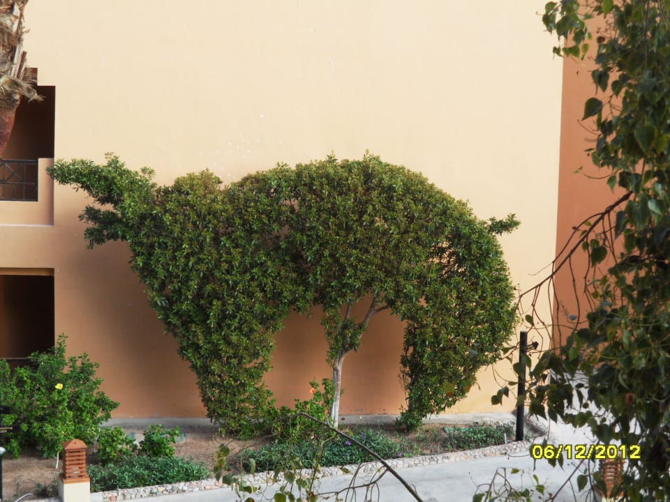 Украшение корпуса Stella Beach Resort & Spa Makadi Bay