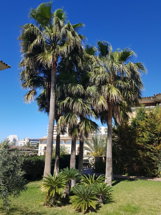 Außenansicht Grupotel Playa de Palma Suites & Spa