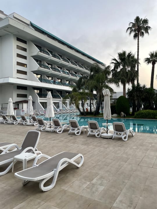 Pool Side Star Elegance