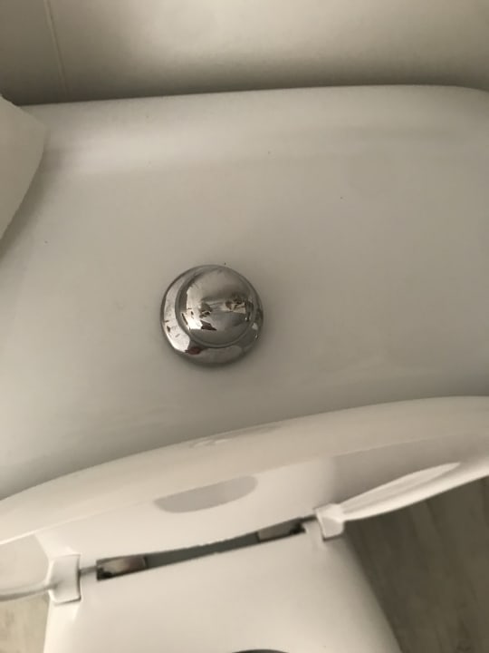 Zimmer FERGUS Club Pineda Splash